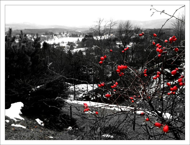Rouge et noir - Louisette Kistner